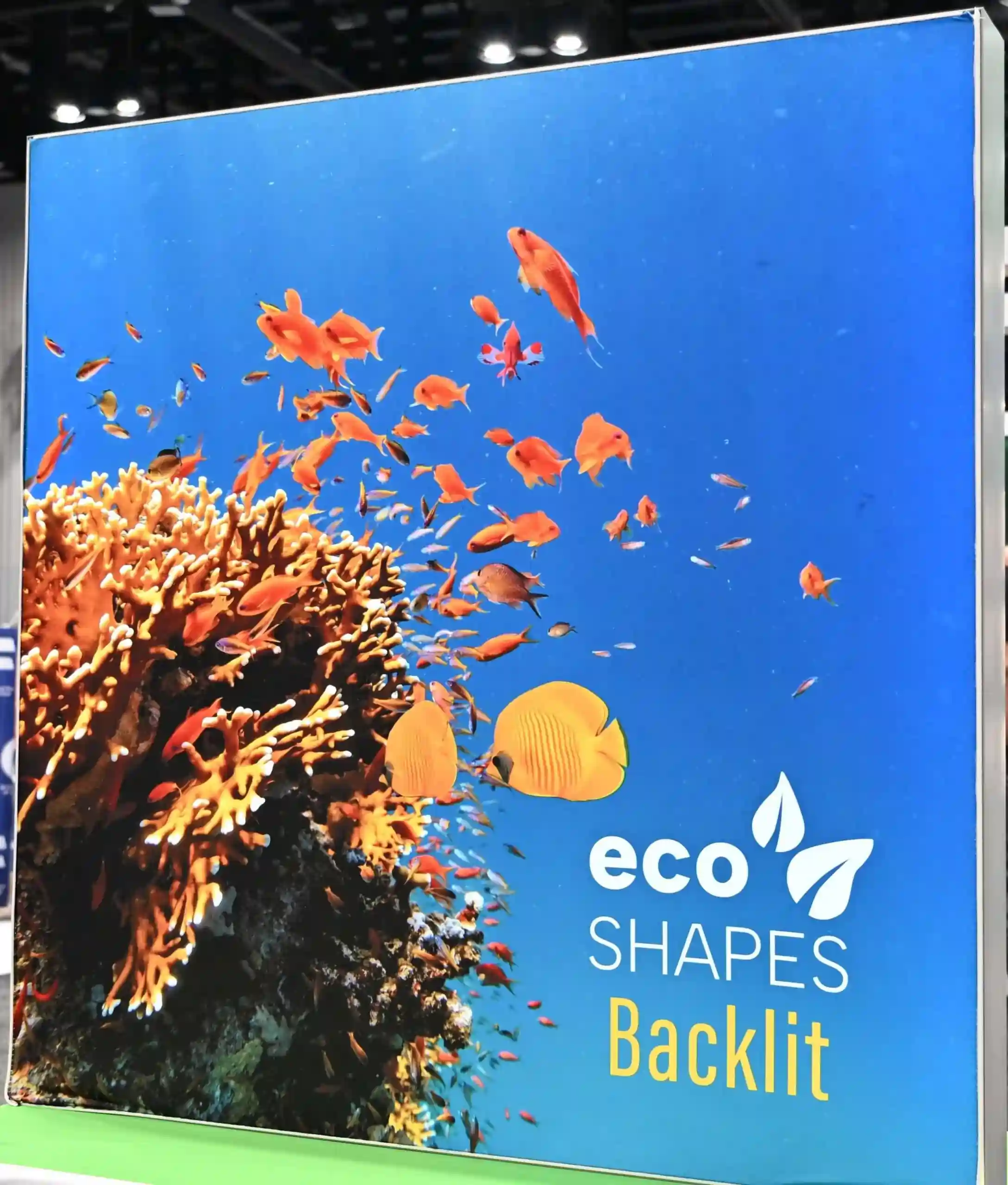 Backlit display fabric in a lit frame