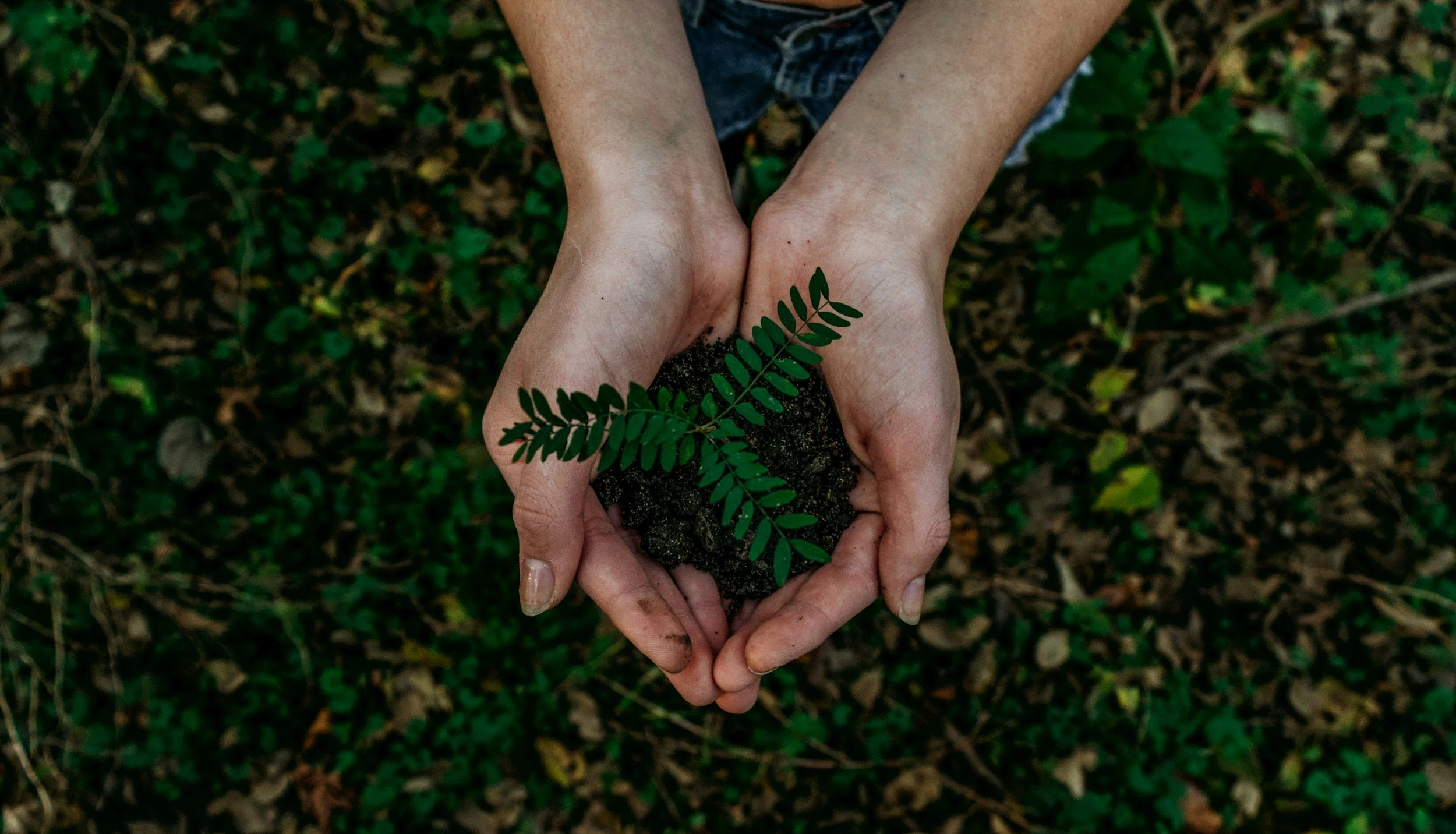 Sustainable printed graphics in a branded environment